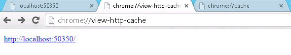 See Cached Files In Chrome